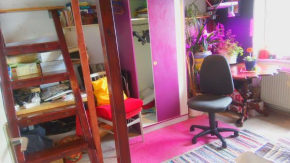 CityCentre room for 1 female persons - alternative plus 1 child
